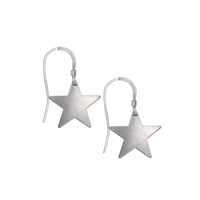 Picture of Eco Aluminium Star Earrings 