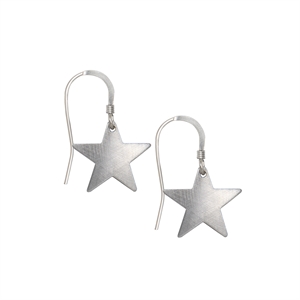 Picture of Eco Aluminium Star Earrings 
